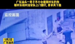 如何爆料村长的人呢视频,视频教你如何巧妙揭露真相