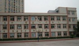 渝北龙溪小学最新爆料,揭秘校园生活精彩瞬间！”