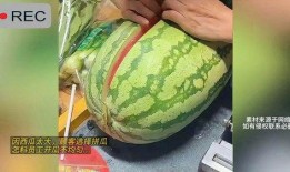 吃瓜黄料视频下载免费,轻松获取热门内容！